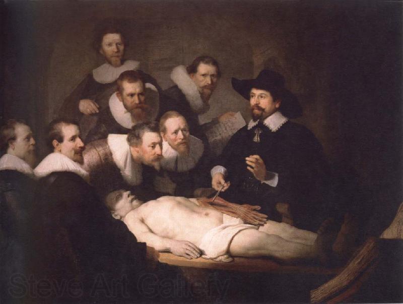 Rembrandt van rijn anatomy lesson of dr,nicolaes tulp Spain oil painting art